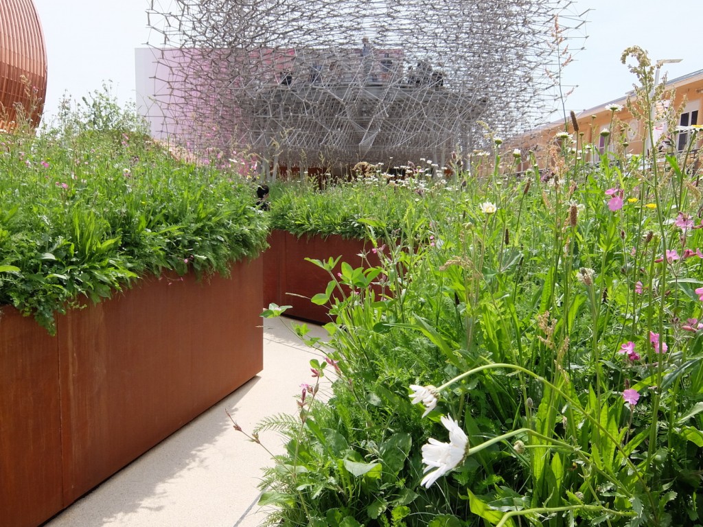 Wolfgang Buttress and BDP’s UK Pavilion works with the trendy metaphor of “the hive.”