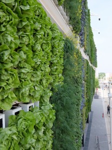 Biber Architects’ USA Pavilion has green walls by dlandstudio that undulate mechanically.