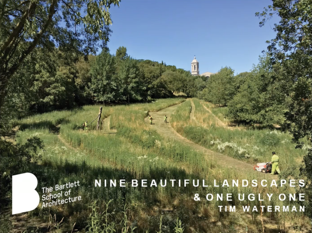 Nine Beautiful Landscapes and One Ugly One