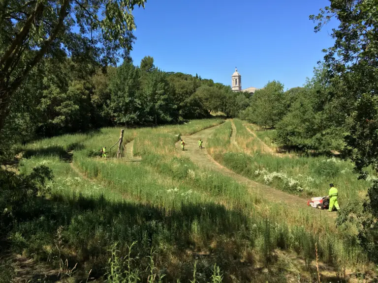 Landscape is in Everything
